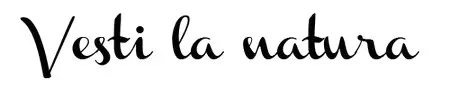Home 28 Logo Vesti la natura